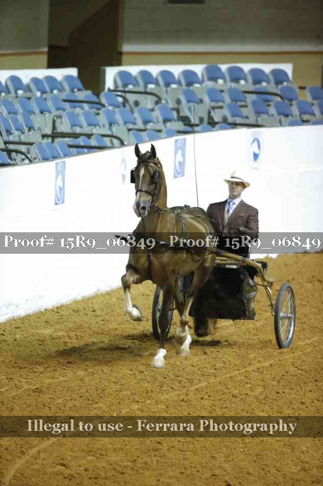 Proof Number 15R9_06849