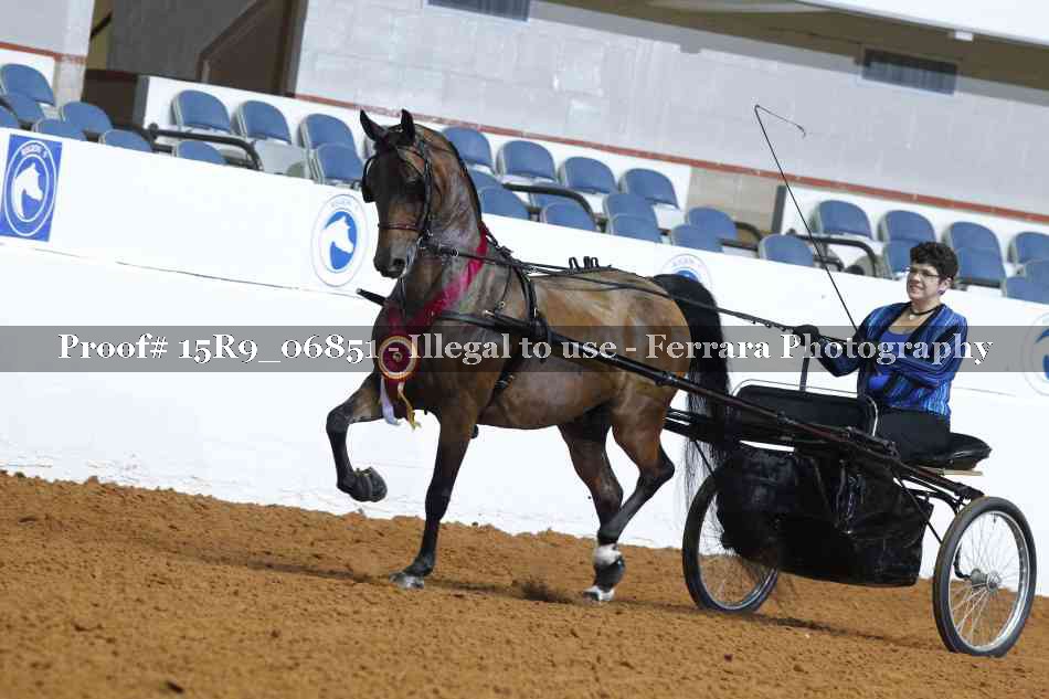 Proof Number 15R9_06851