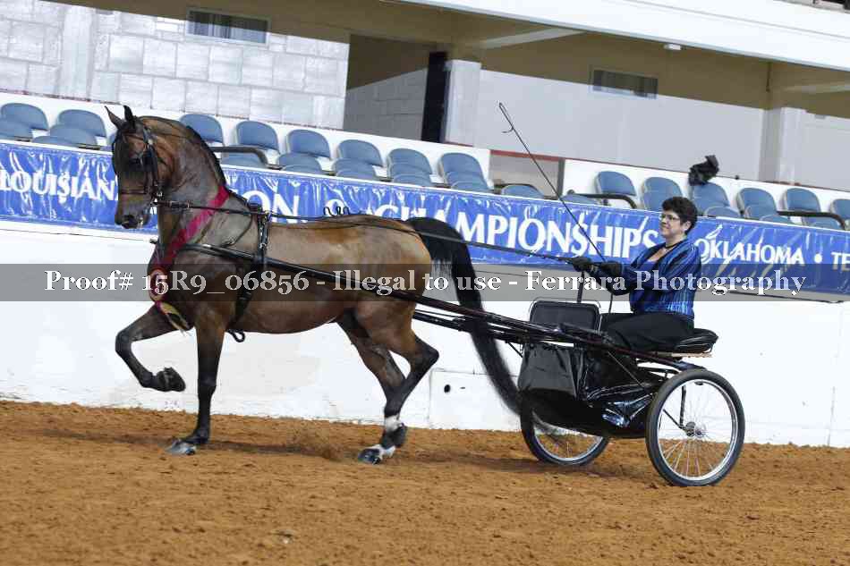 Proof Number 15R9_06856