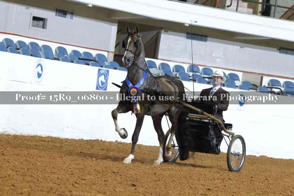 Proof Number 15R9_06860
