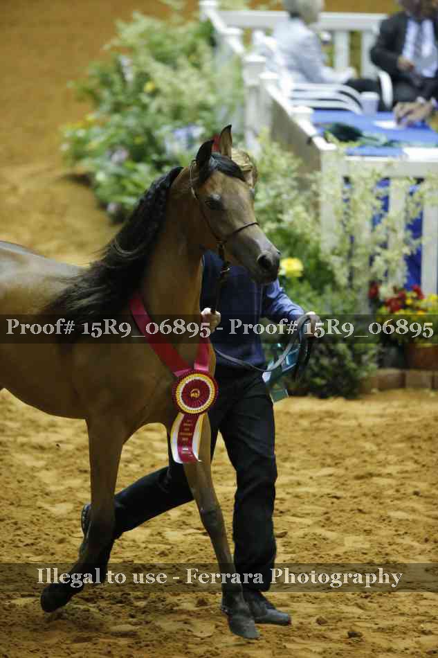 Proof Number 15R9_06895