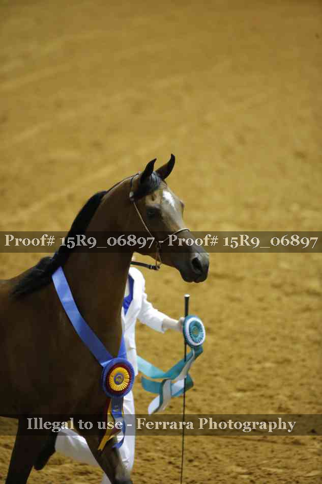 Proof Number 15R9_06897