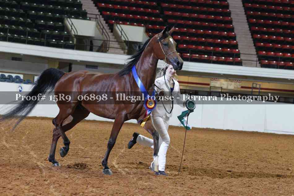 Proof Number 15R9_06898