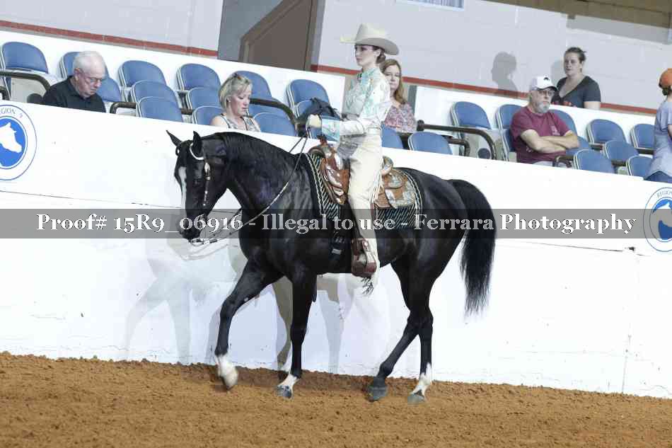 Proof Number 15R9_06916