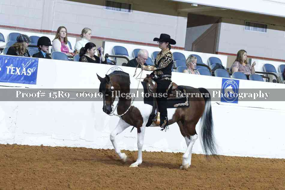 Proof Number 15R9_06919