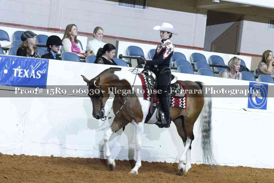 Proof Number 15R9_06930