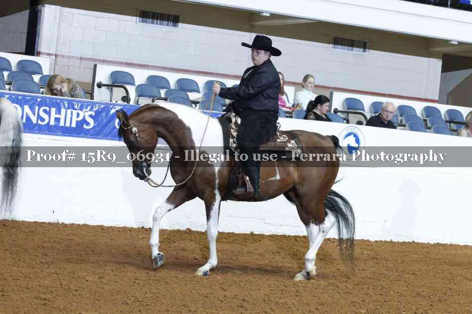 Proof Number 15R9_06931