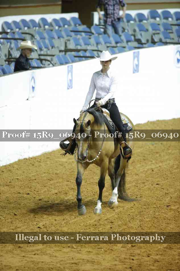 Proof Number 15R9_06940