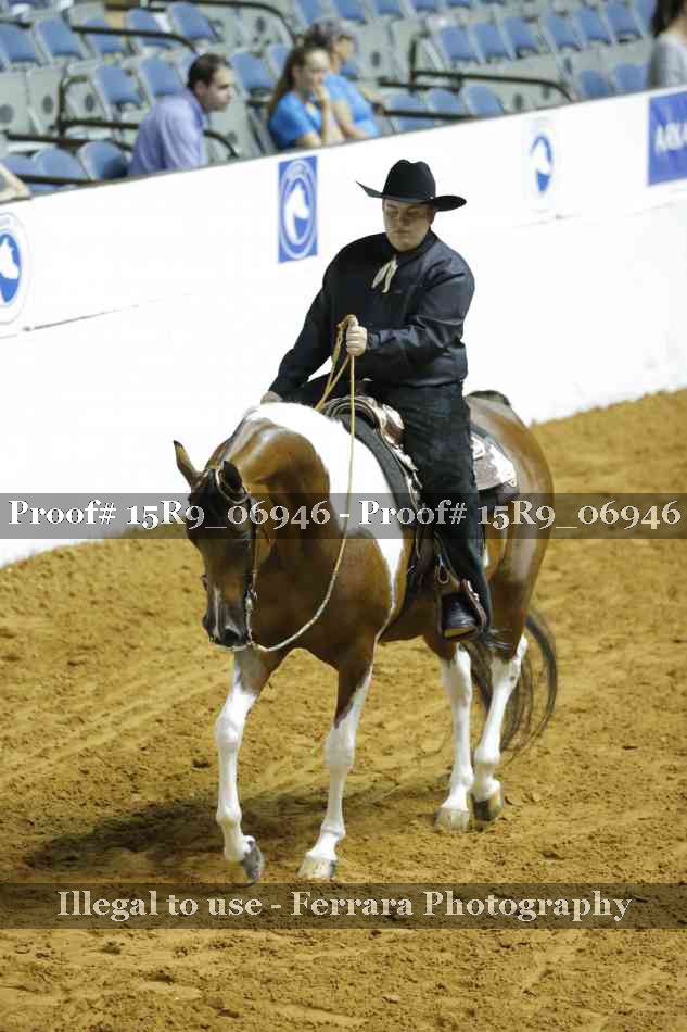 Proof Number 15R9_06946