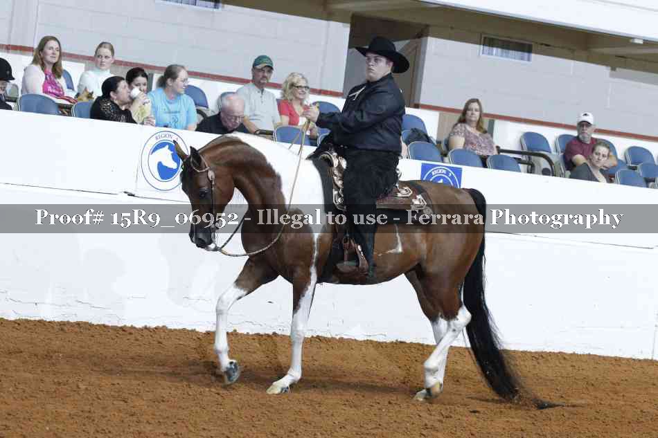 Proof Number 15R9_06952