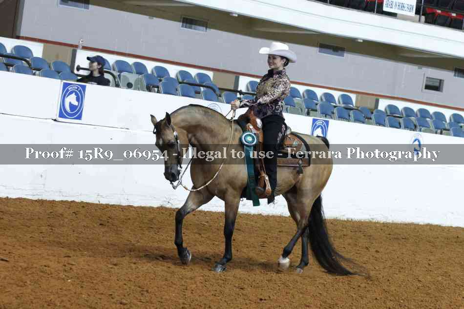 Proof Number 15R9_06954