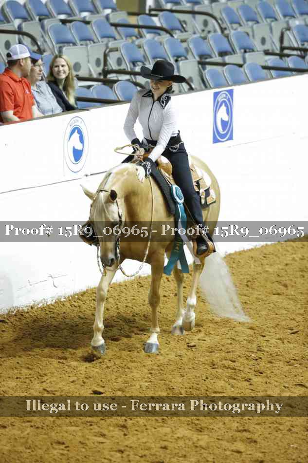 Proof Number 15R9_06965