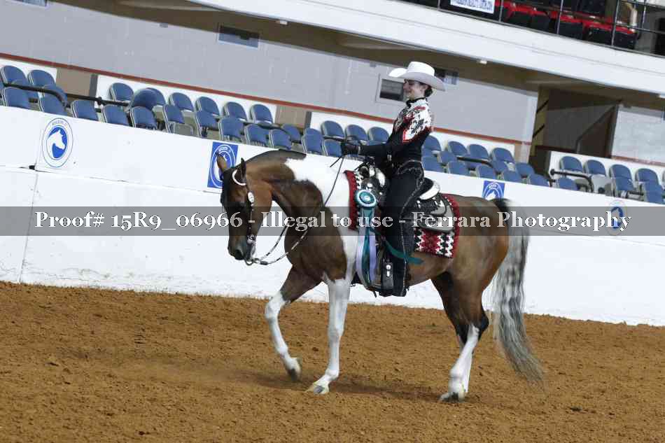 Proof Number 15R9_06966