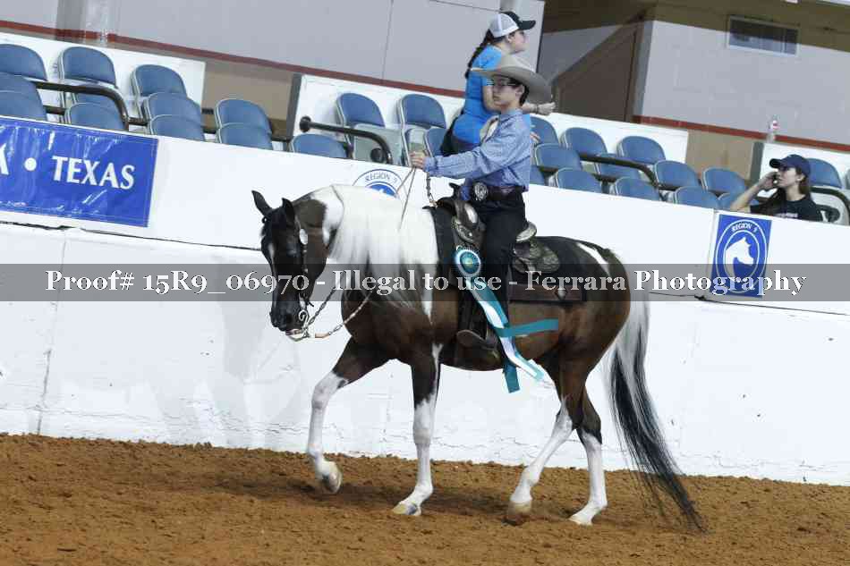 Proof Number 15R9_06970