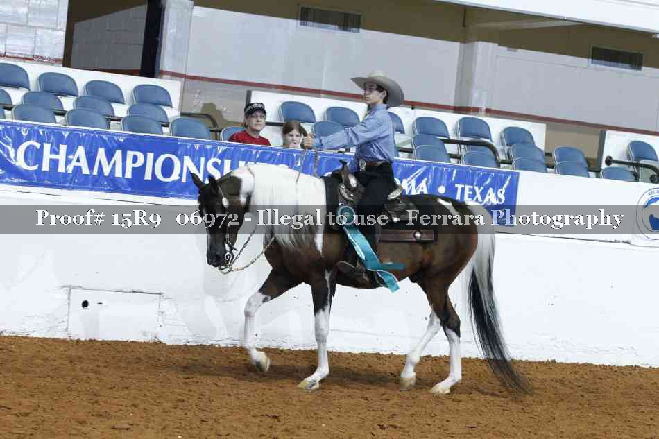 Proof Number 15R9_06972