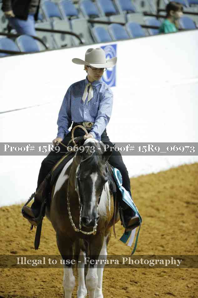 Proof Number 15R9_06973