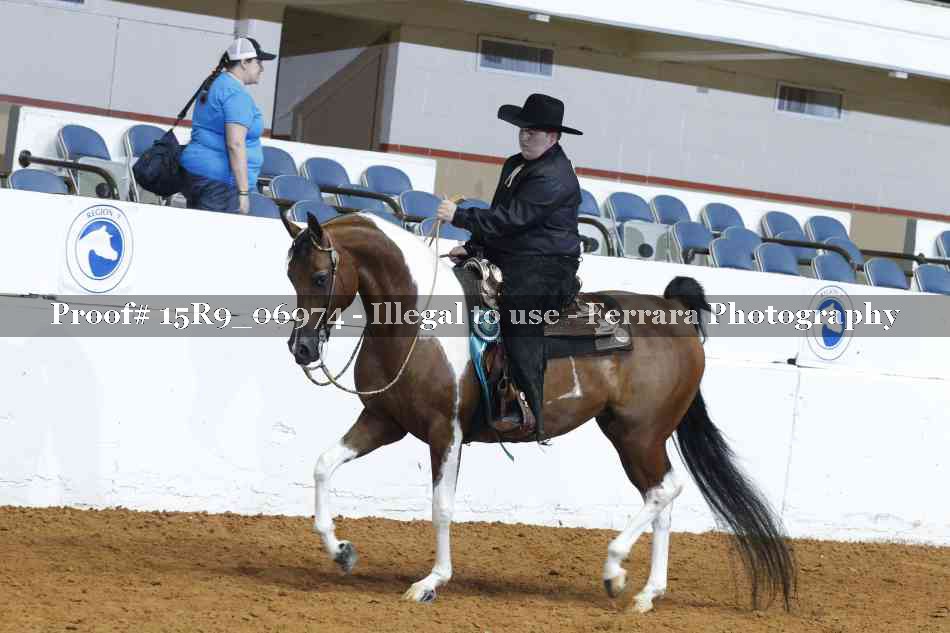 Proof Number 15R9_06974