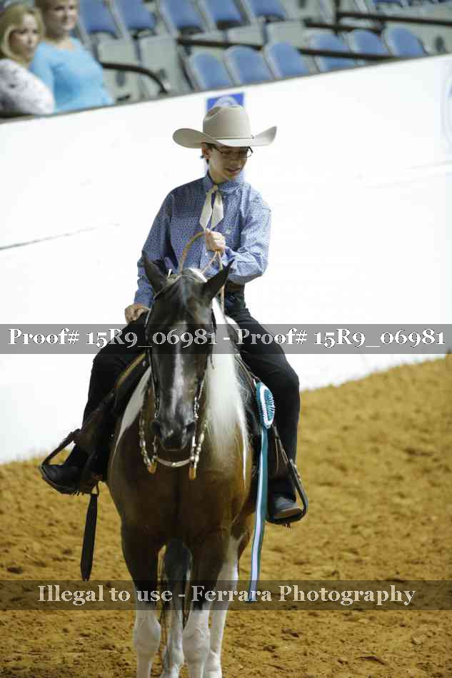 Proof Number 15R9_06981