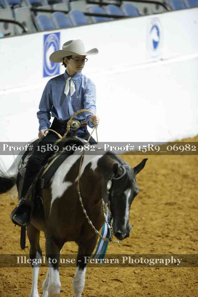 Proof Number 15R9_06982