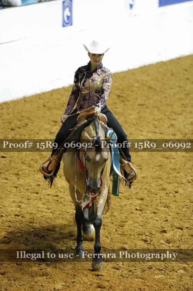 Proof Number 15R9_06992