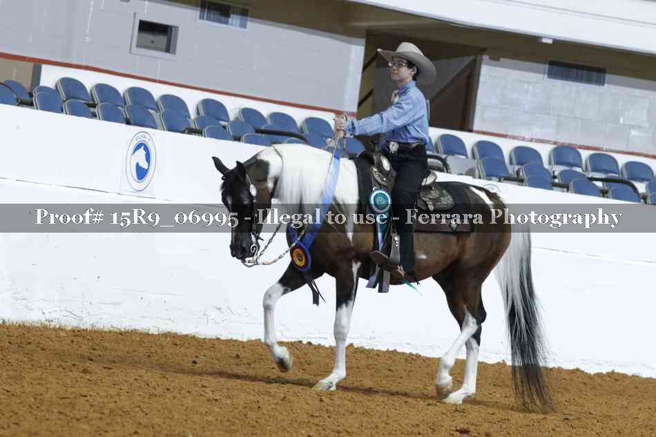 Proof Number 15R9_06995