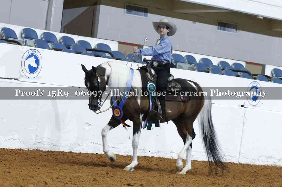 Proof Number 15R9_06997