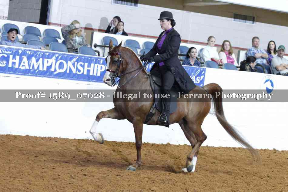 Proof Number 15R9_07028