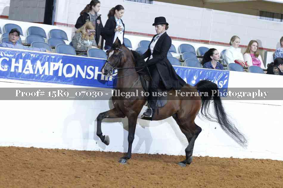 Proof Number 15R9_07030