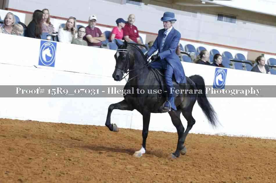 Proof Number 15R9_07031