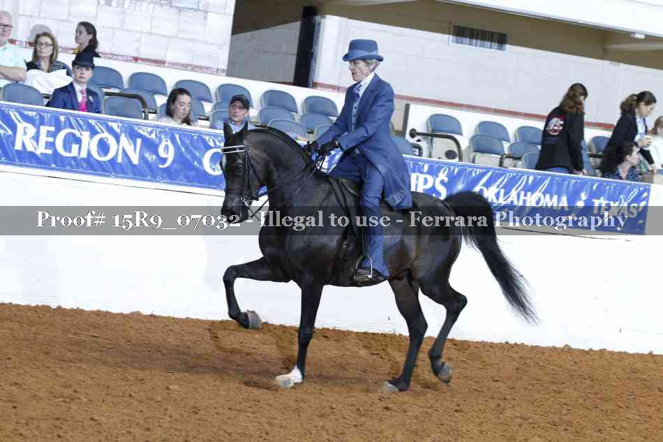 Proof Number 15R9_07032