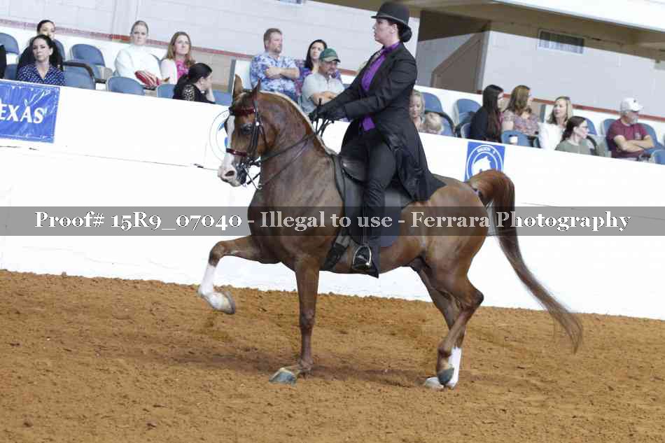 Proof Number 15R9_07040