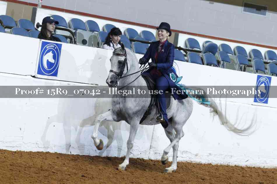 Proof Number 15R9_07042