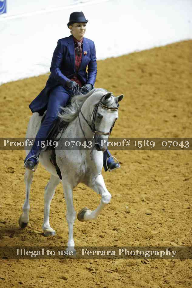 Proof Number 15R9_07043