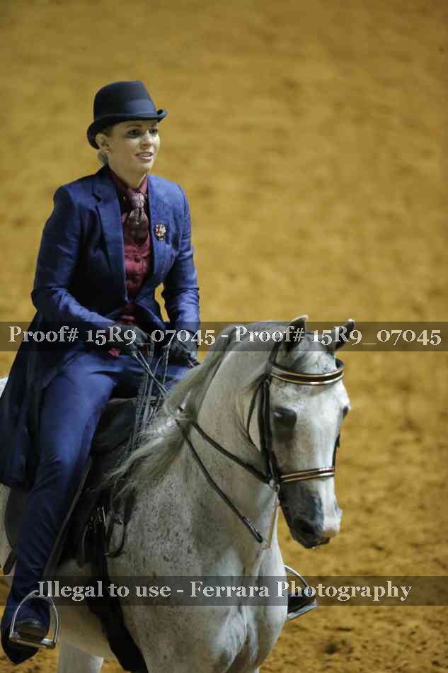 Proof Number 15R9_07045