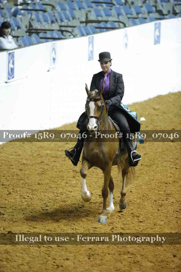 Proof Number 15R9_07046