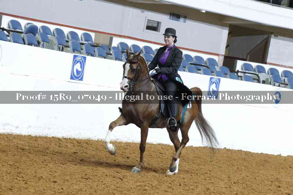 Proof Number 15R9_07049
