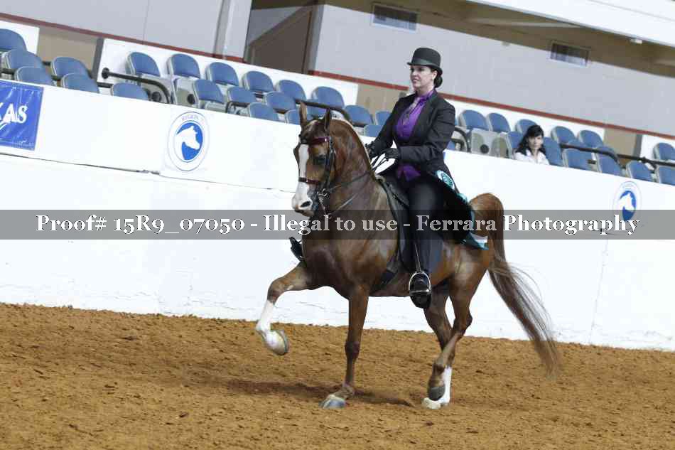Proof Number 15R9_07050