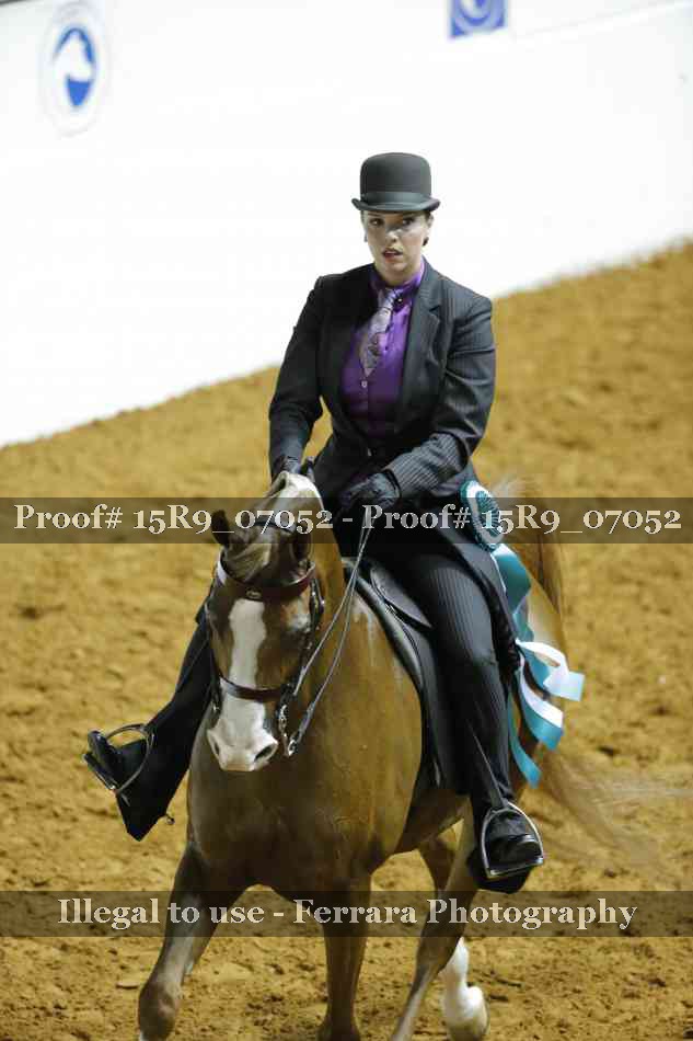 Proof Number 15R9_07052