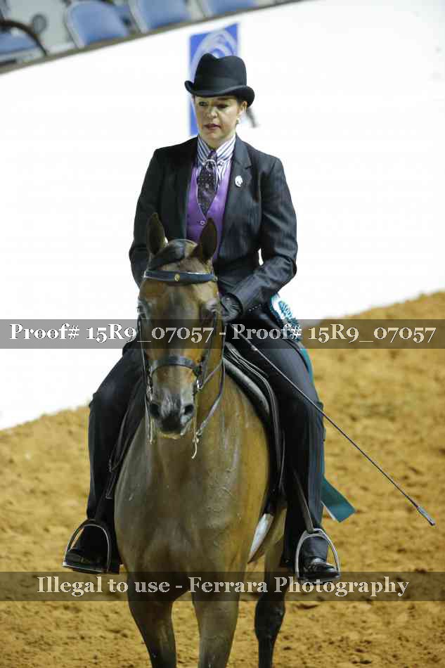 Proof Number 15R9_07057