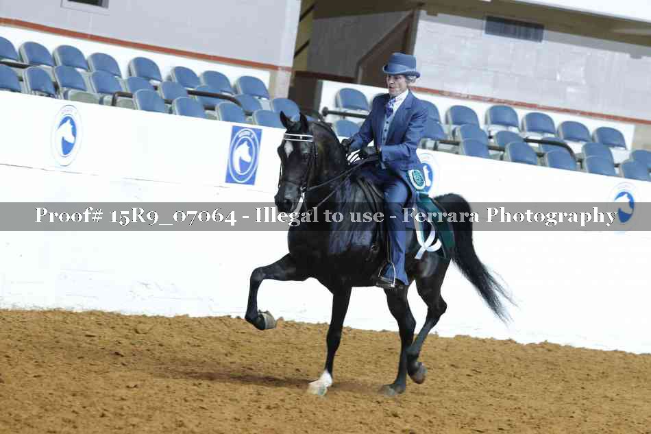 Proof Number 15R9_07064