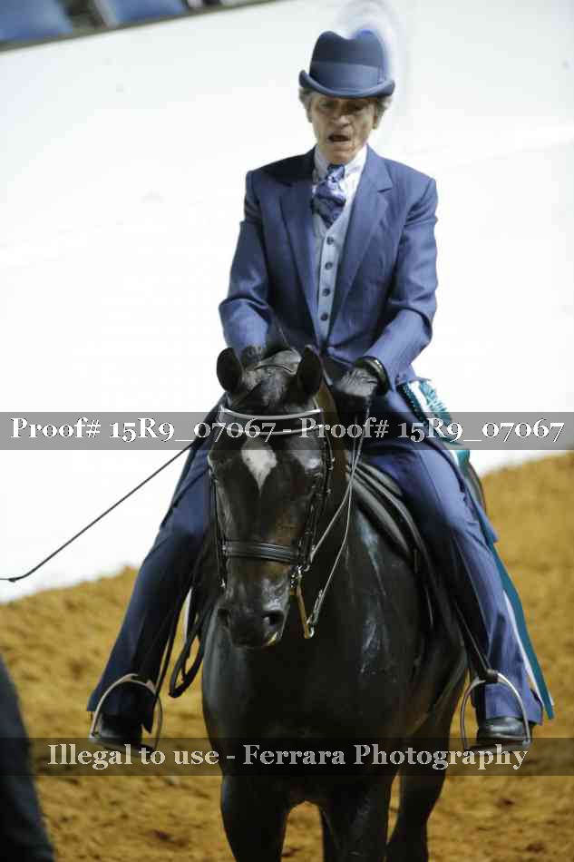 Proof Number 15R9_07067