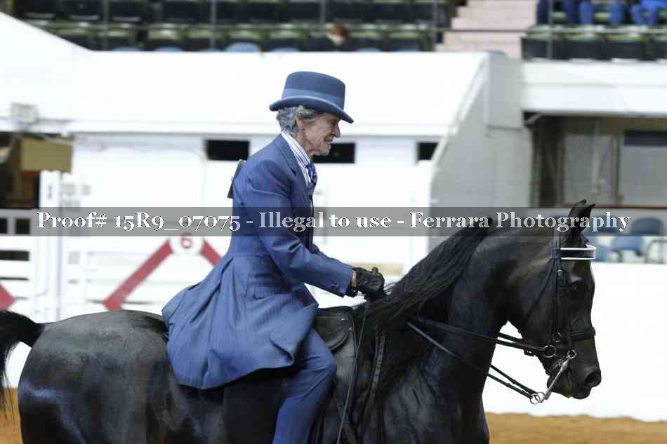Proof Number 15R9_07075