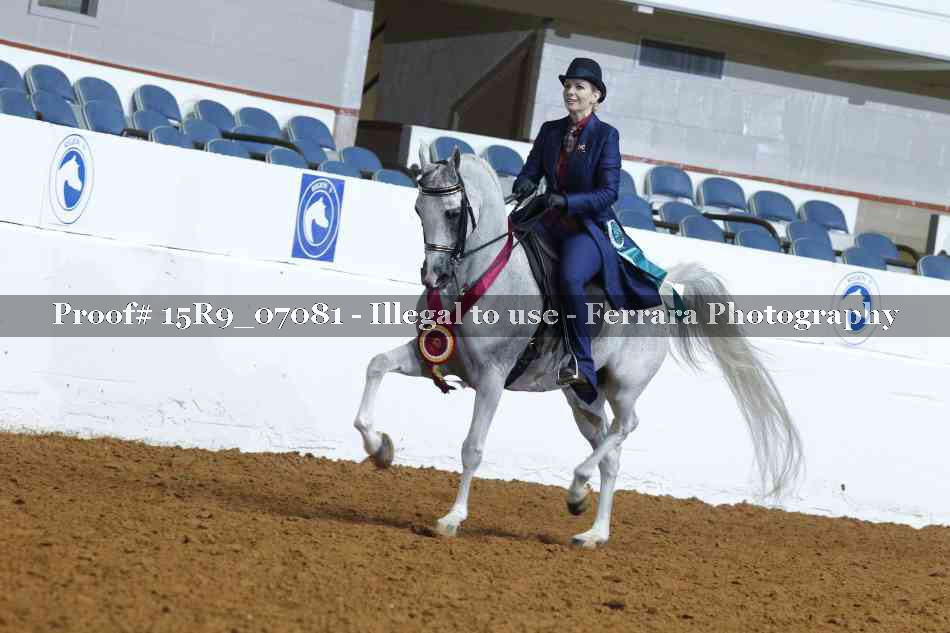 Proof Number 15R9_07081