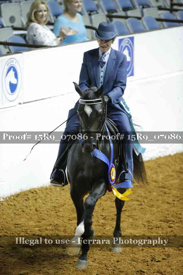 Proof Number 15R9_07086