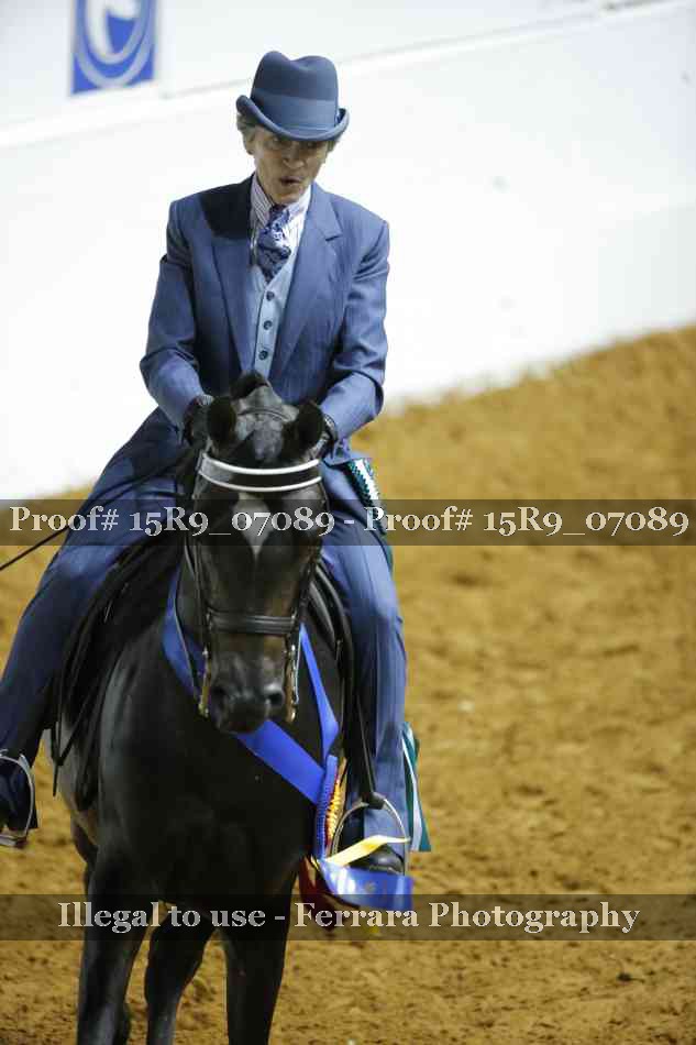 Proof Number 15R9_07089