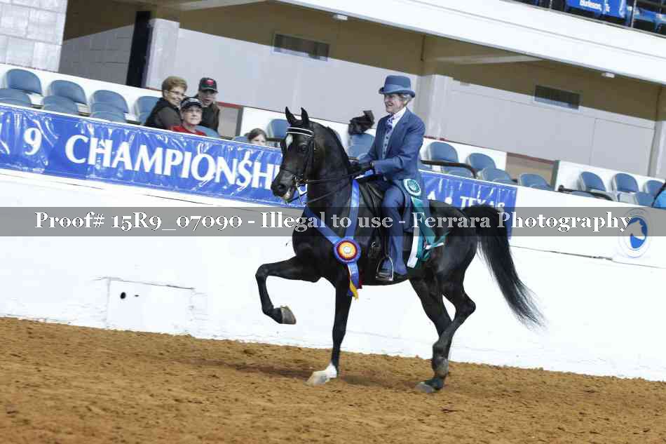 Proof Number 15R9_07090