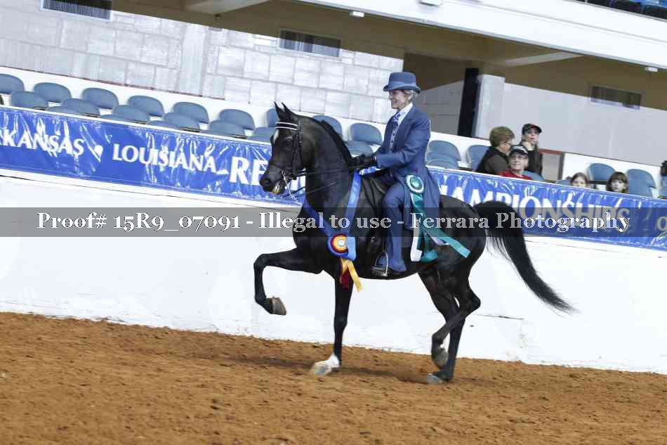 Proof Number 15R9_07091