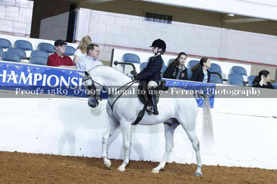 Proof Number 15R9_07097
