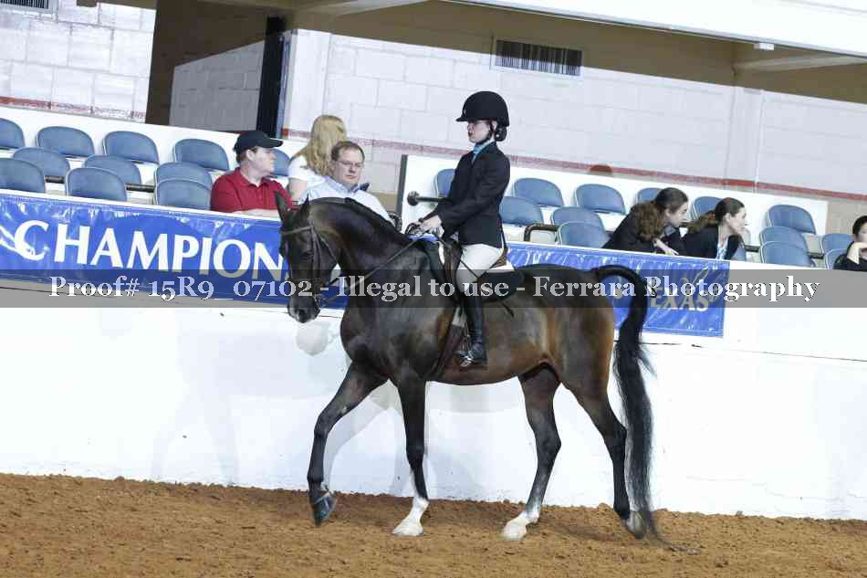 Proof Number 15R9_07102