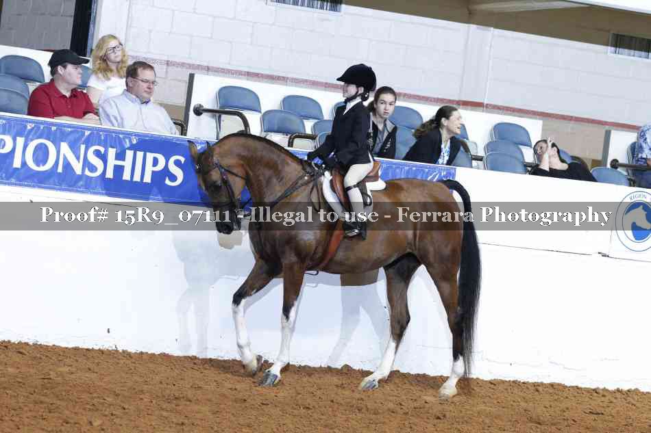 Proof Number 15R9_07111